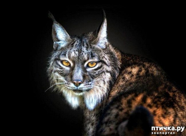 ���� 8: ����� ������� �������. �����������