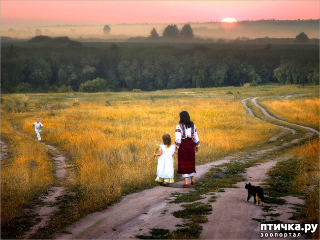 ���� 13: ����� ������� �������. �����������