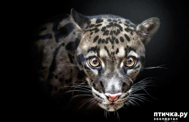 ���� 18: ����� ������� �������. �����������