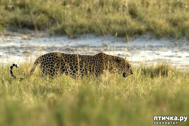 ���� 19: ����� ������� �������. �����������