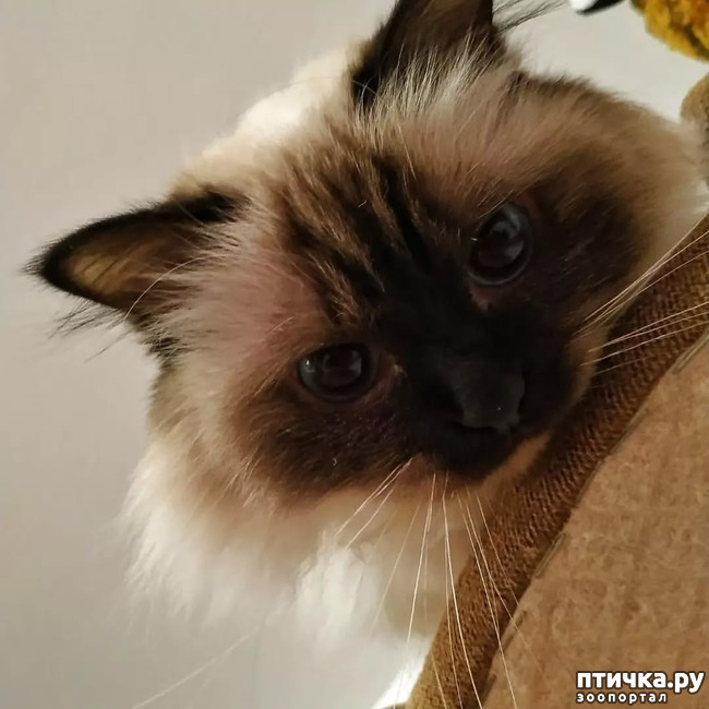 ���� 2: ��� ������?