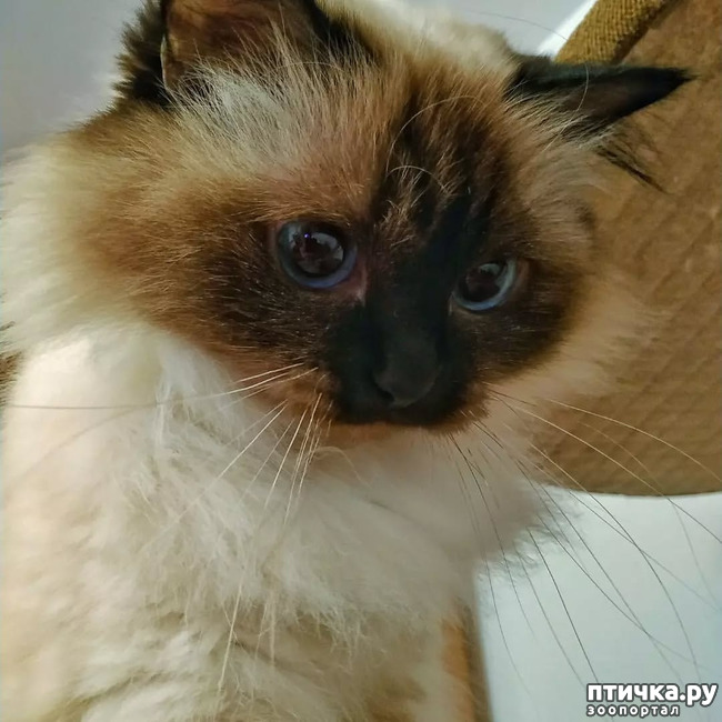 ���� 1: ��� ������?