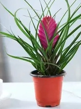 ���� 2: �������: ��� ������, ��� �����, � ������, ������ � ������������.