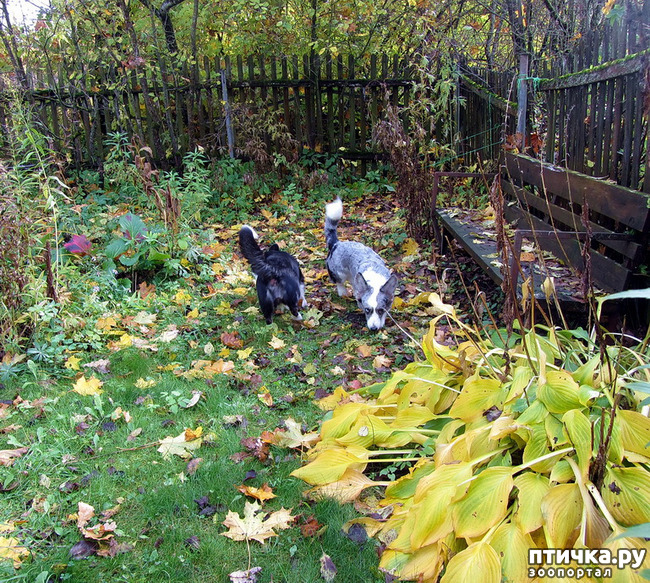 ���� 6: ������ � �������. �������