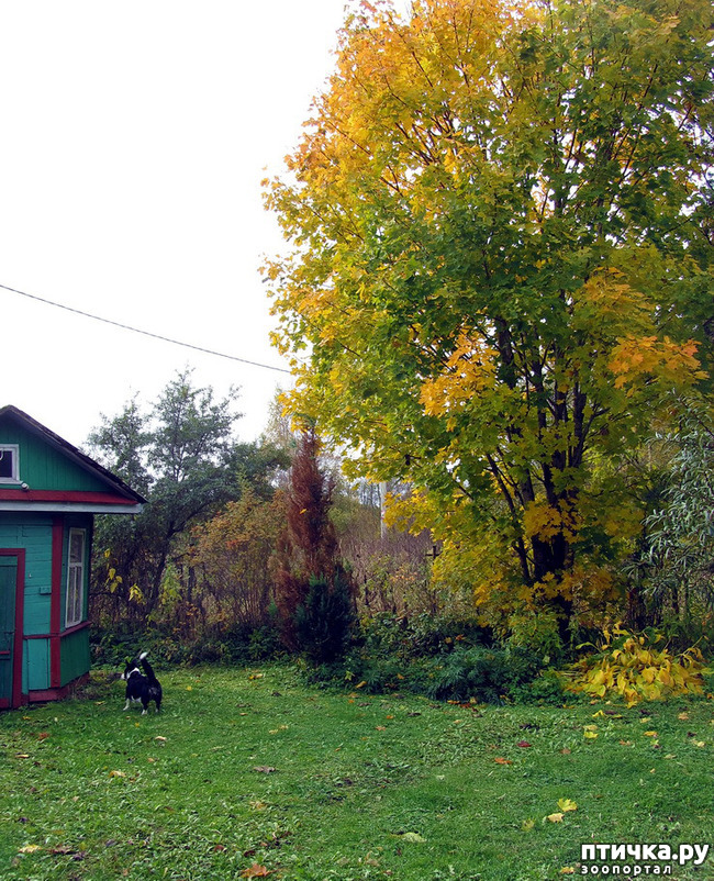 ���� 2: ������ � �������. �������