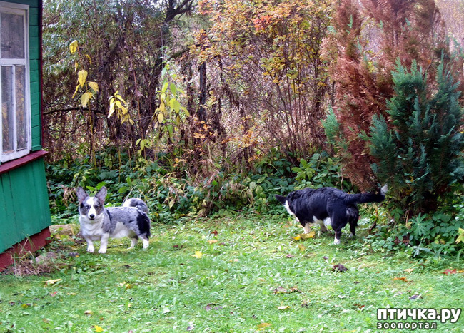 ���� 7: ������ � �������. �������