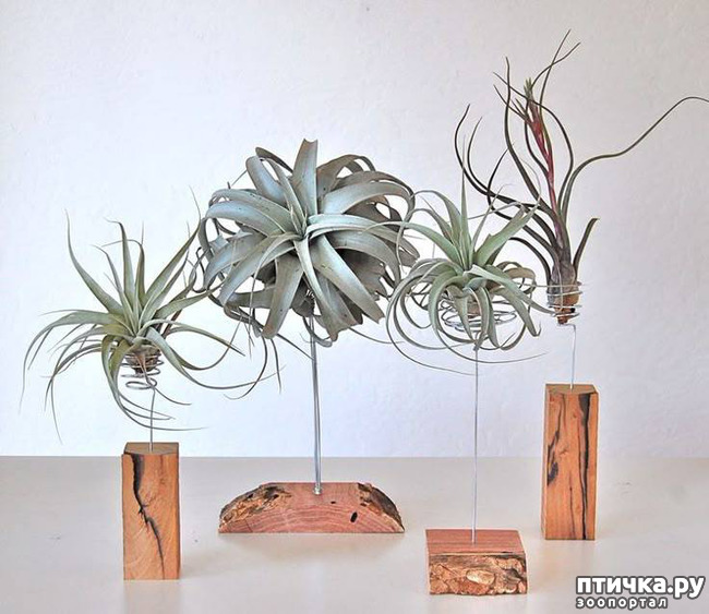 ���� 4: �������: ��� ������, ��� �����, � ������, ������ � ������������.