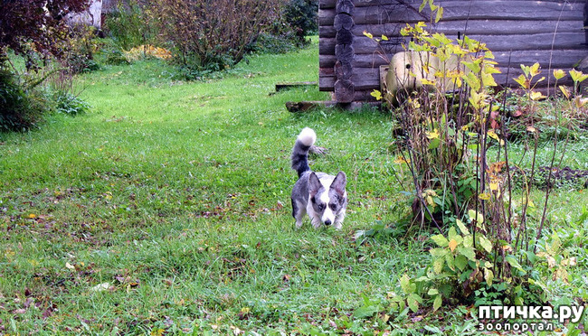 ���� 16: ������ � �������. �������