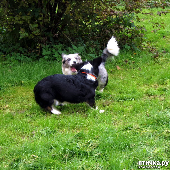 ���� 8: ������ � �������. �������