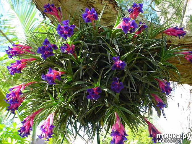 ���� 6: �������: ��� ������, ��� �����, � ������, ������ � ������������.