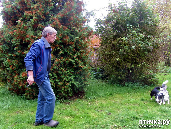 ���� 9: ������ � �������. �������