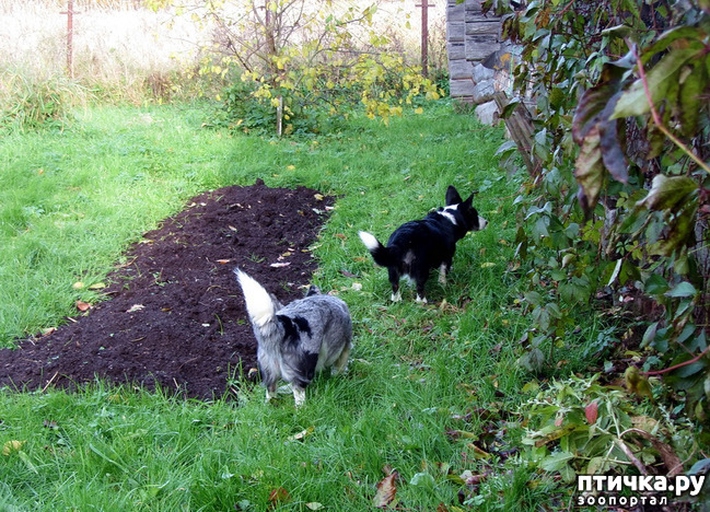 ���� 10: ������ � �������. �������