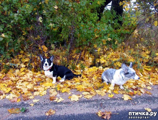 ���� 11: ������ � �������. �������