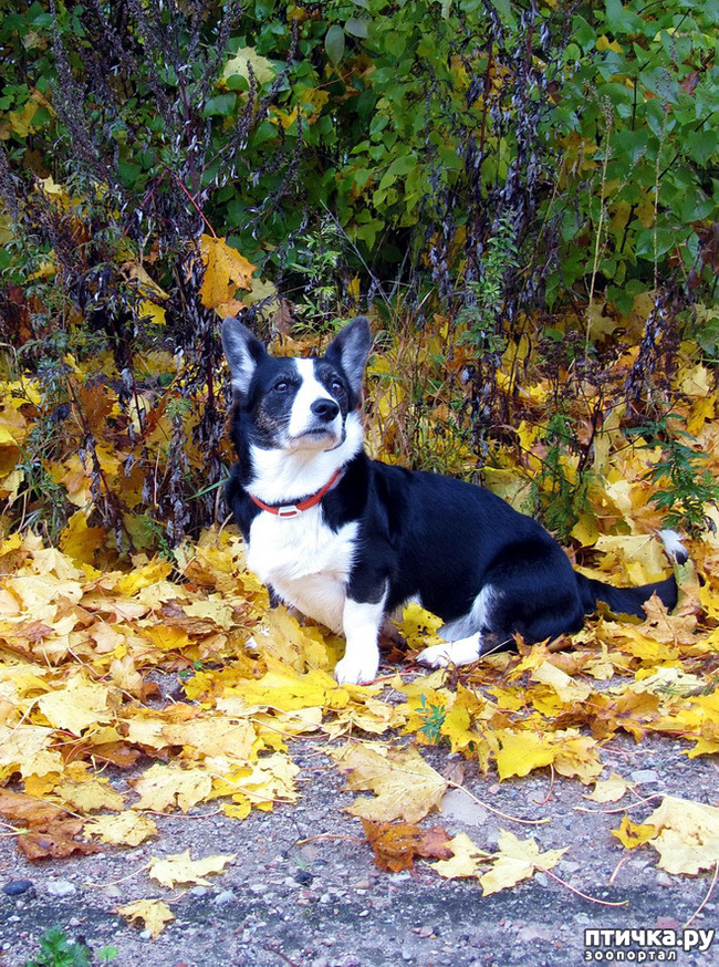 ���� 5: ������ � �������. �������