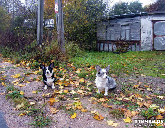 ���� 14: ������ � �������. �������