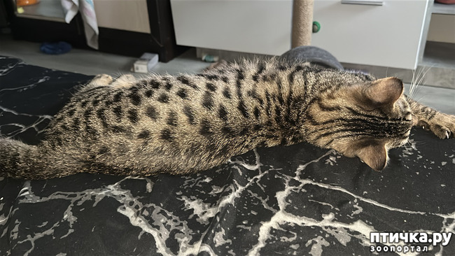 ���� 3: �������� ������ ������ �������!! ����������. ���������� ������� ������, ��������� � �����