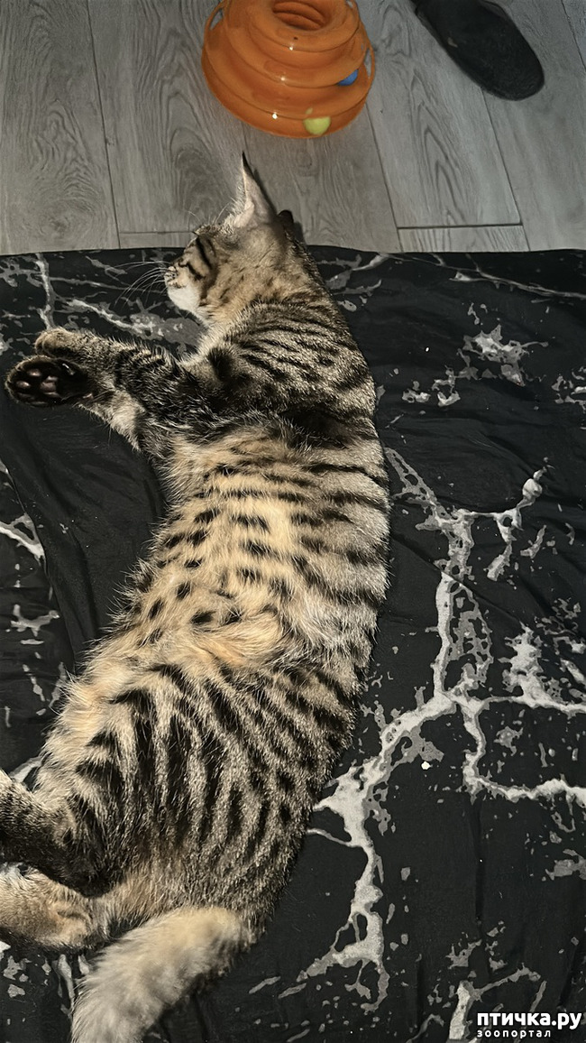 ���� 1: �������� ������ ������ �������!! ����������. ���������� ������� ������, ��������� � �����