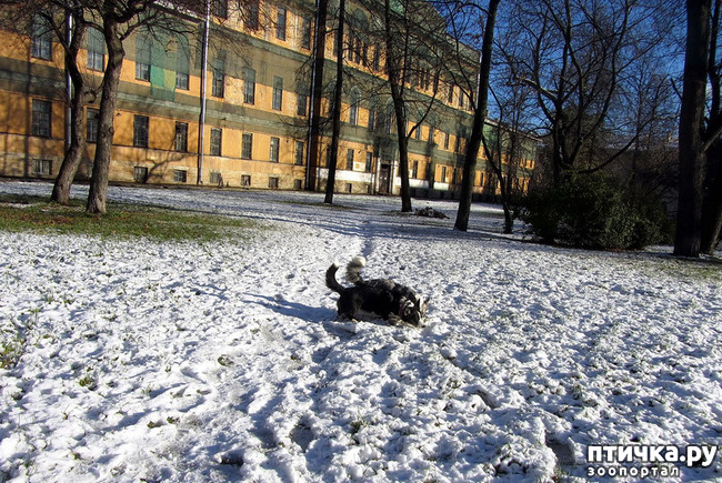 ���� 3: ������ ����