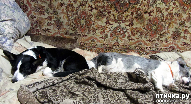 ���� 7: ������ ����