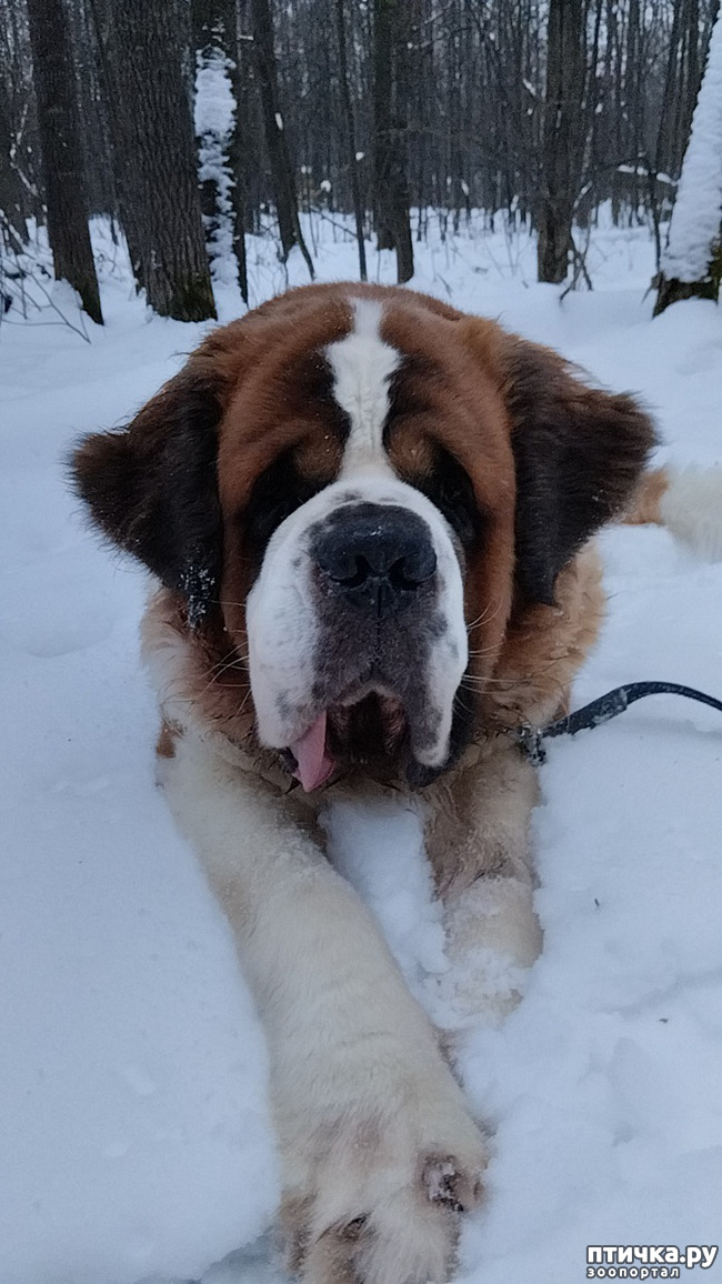 ���� 1: ���������. ����� ������ ����