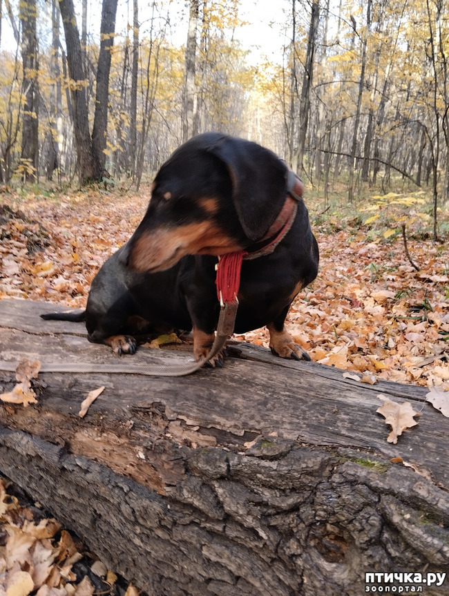 ���� 5: ���������. ����� ������ ����