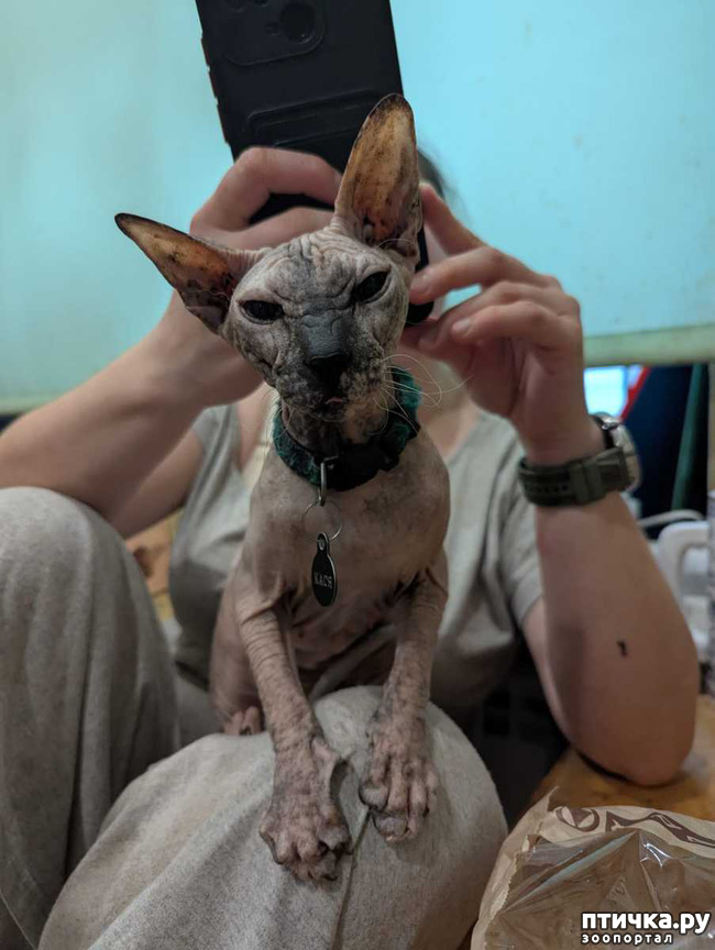 ���� 8: ���������. ����� ������ ����