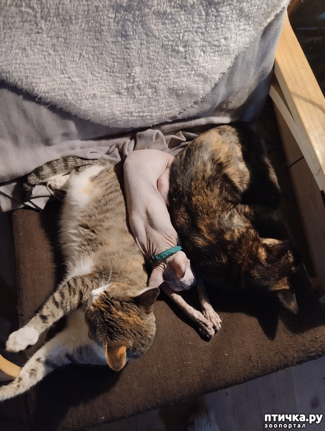 ���� 9: ���������. ����� ������ ����