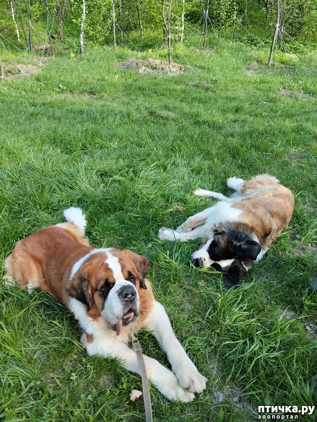 ���� 2: ���������. ����� ������ ����