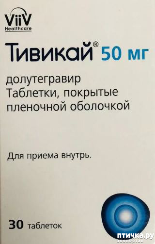 ���� 6: ������� ��� ���������� ����� � �������� ��������� (���)