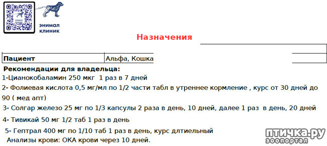 ���� 9: ������� ��� ���������� ����� � �������� ��������� (���)