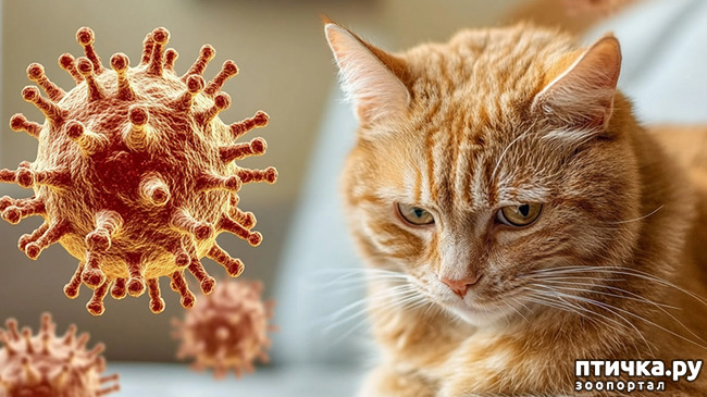 ���� 2: ������� ��� ���������� ����� � �������� ��������� (���)