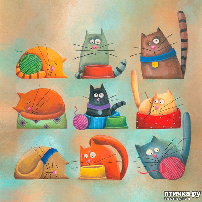 ���� 12: ������� ��� ���������� ����� � �������� ��������� (���)