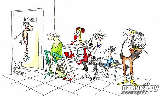 ���� 1: ������� ��� ���������� ����� � ��� (����� 2, ���������). ��� ��������������� ������ � ���