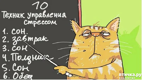 ���� 2: ������� ��� ���������� ����� � ��� (����� 2, ���������). ��� ��������������� ������ � ���