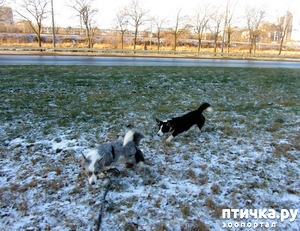 ����: ������ � ��������� ����