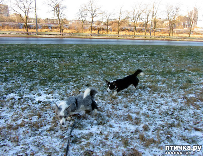 ���� 1: ������ � ��������� ����