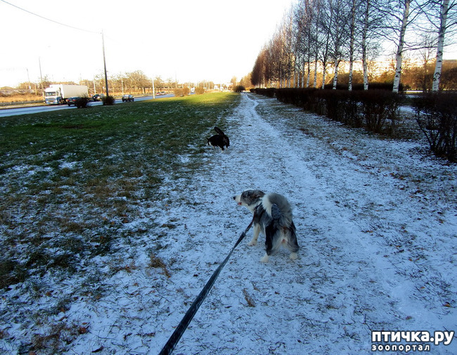 ���� 2: ������ � ��������� ����