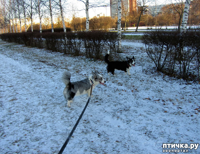 ���� 3: ������ � ��������� ����