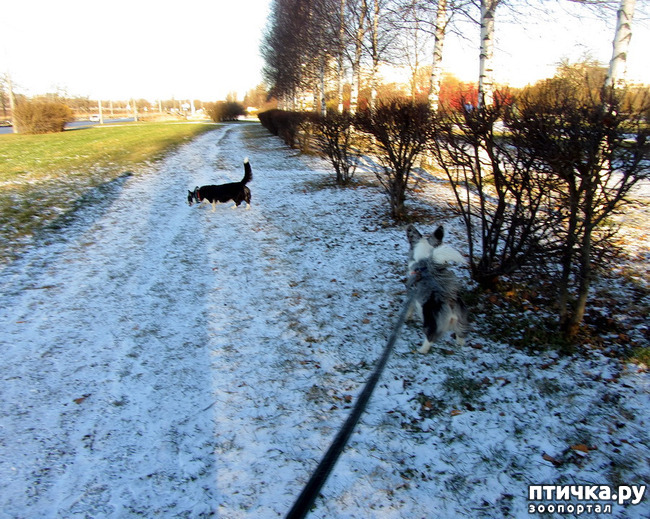 ���� 4: ������ � ��������� ����