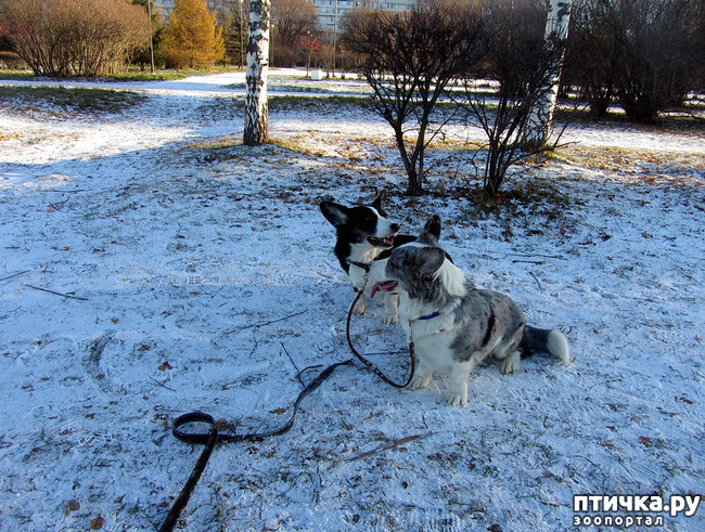 ���� 5: ������ � ��������� ����