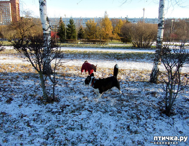 ���� 6: ������ � ��������� ����