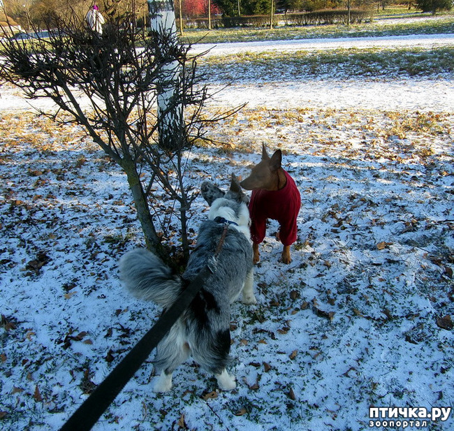 ���� 7: ������ � ��������� ����