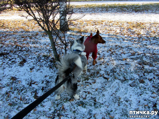 ���� 8: ������ � ��������� ����