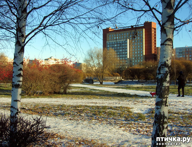 ���� 9: ������ � ��������� ����