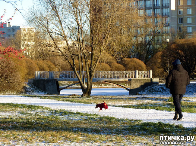 ���� 10: ������ � ��������� ����