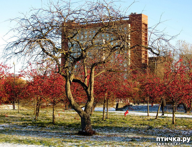 ���� 11: ������ � ��������� ����