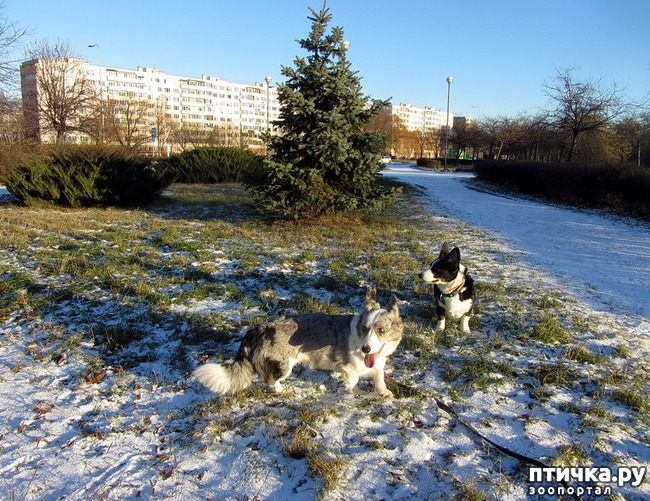 ���� 12: ������ � ��������� ����