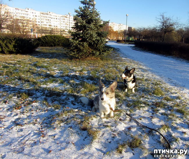 ���� 13: ������ � ��������� ����