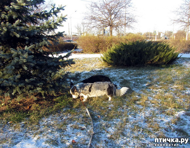 ���� 14: ������ � ��������� ����