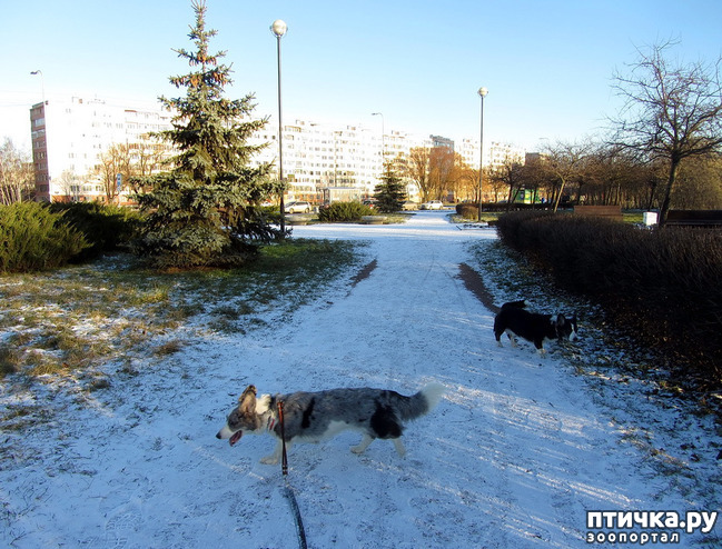 ���� 15: ������ � ��������� ����